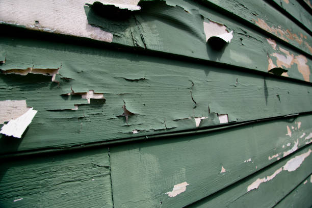 Best Weatherproofing and Sealing  in Windsor, VA