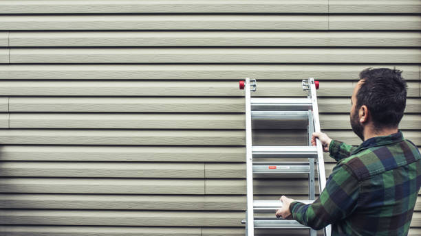 Best Siding Replacement  in Windsor, VA