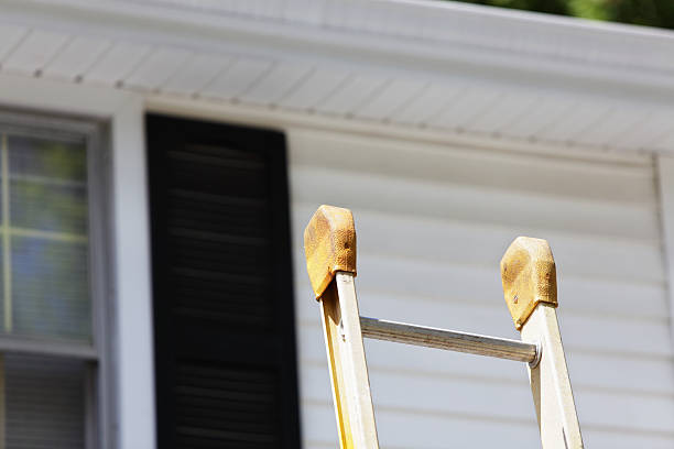 Best Wood Siding Installation  in Windsor, VA